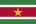 Flagge Surinames