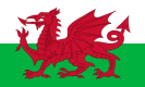 Flagge von Wales