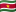 Flagge Surinames