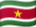 Flagge Surinames