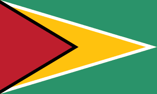 Flagge Guyanas