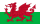 Flagge von Wales