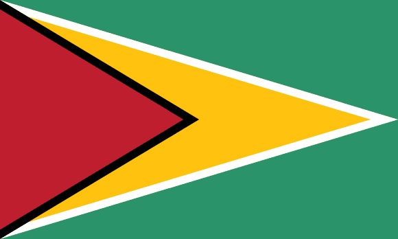 Flagge Guyanas